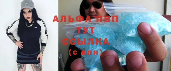 индика Балабаново
