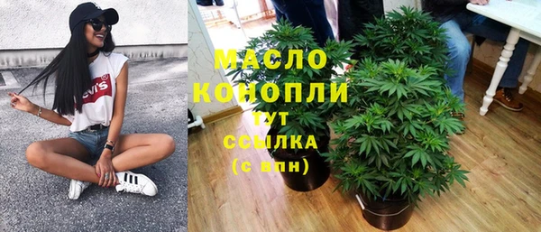 индика Балабаново