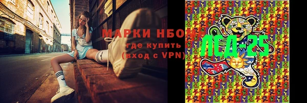 индика Балабаново