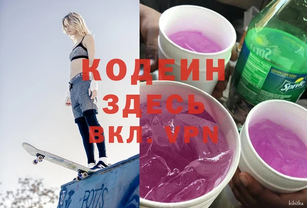 индика Балабаново