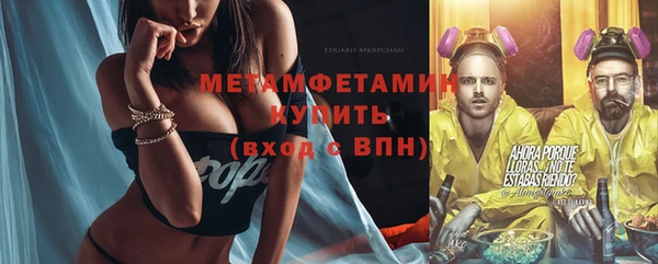 индика Балабаново