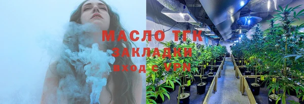 индика Балабаново