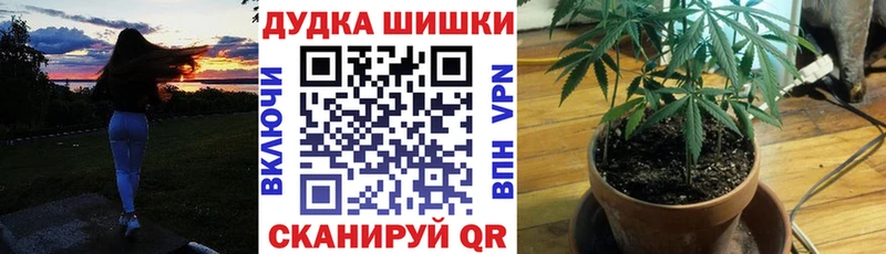 MEGA маркетплейс  Короча  Марихуана сатива 